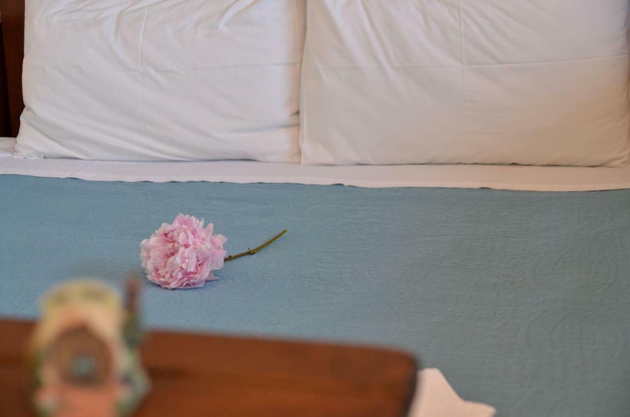 Appartement Thalassa