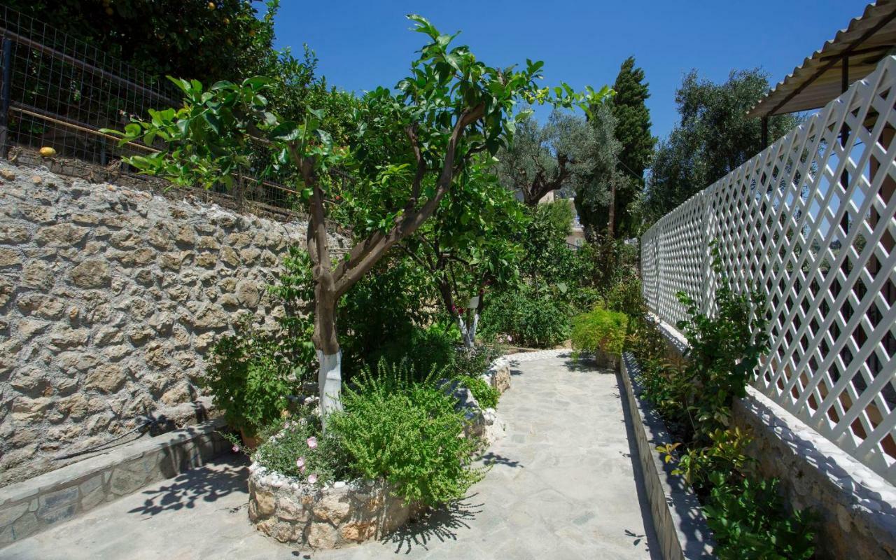 Apartment Thalassa